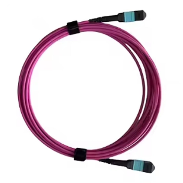 Display of Low Voltage Motor Cabinet Tail Fiber Optic Process