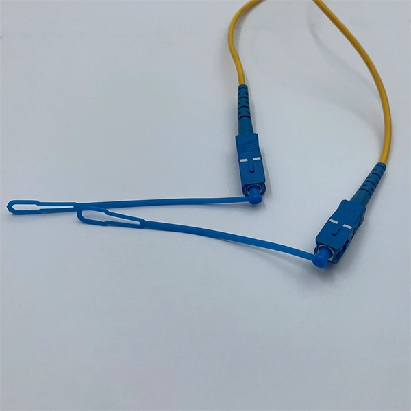The server comes with a built-in cable management rack
