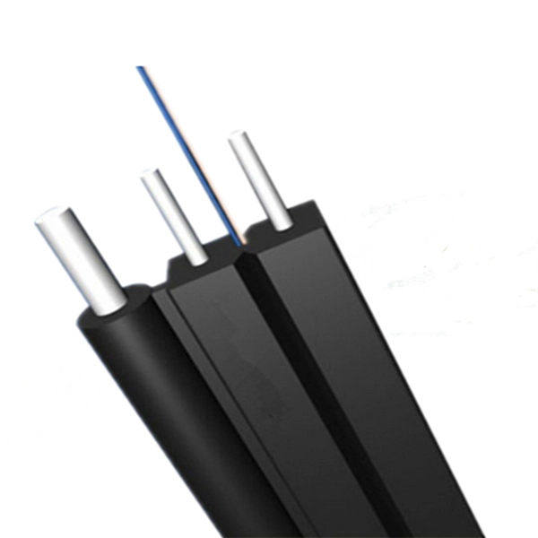 Telecom Fiber Optic Router DHCP
